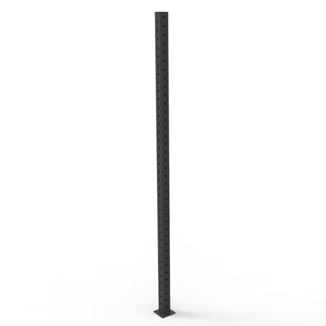 Eleiko XF 80 Leg, Crossfit rig