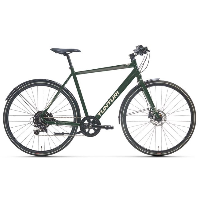 Tunturi RX 900 Grön Herr, Standardcykel