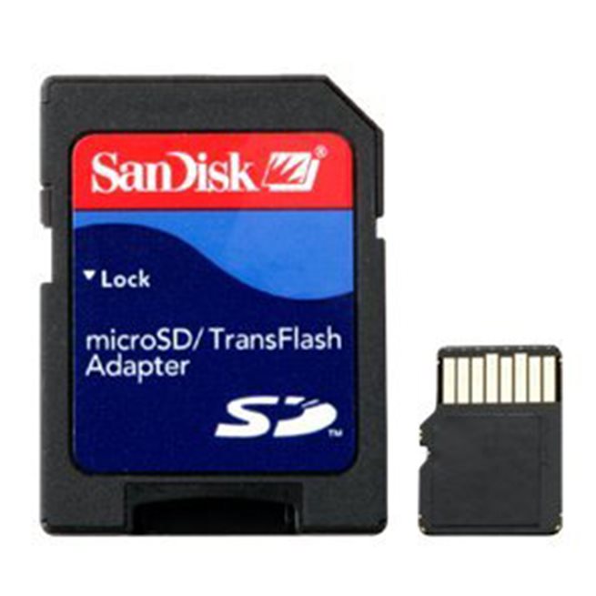 Garmin Garmin 4 GB microSD™ Class 4 Card with SD™ Adapter
