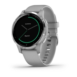 Garmin Vivoactive 4S, Gps, Wi-Fi, Powder Gray/Silver