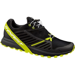 Dynafit Alpine Pro Men