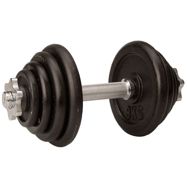 vidaXL Hantel 15 kg svart