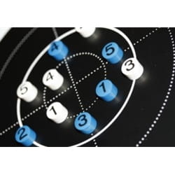 Larsen Biathlon Magnetset 10 Magneter