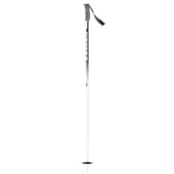 Scott Pole Scrapper Srs