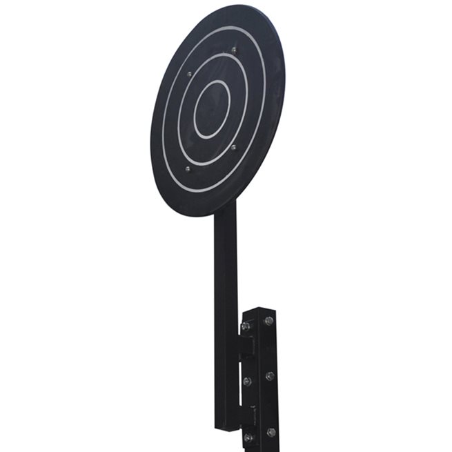 Master Fitness Wall Ball Target, Crossfit rig