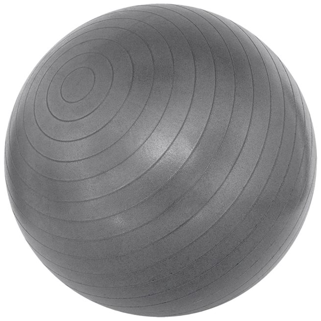 vidaXL Fitnessboll silver