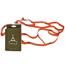 Tentsile Webbing Ladder