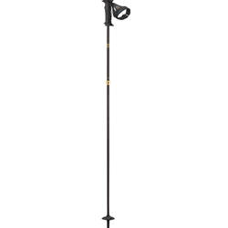 Salomon Element Carbon Ergo S3