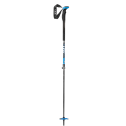Leki Aergonlite 2