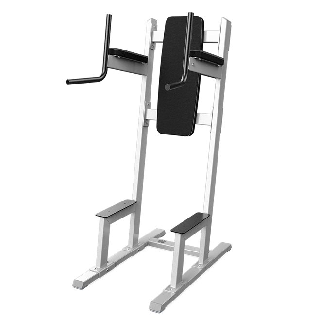 Eleiko Classic Standing Leg Raise/Dip Station, Power tower