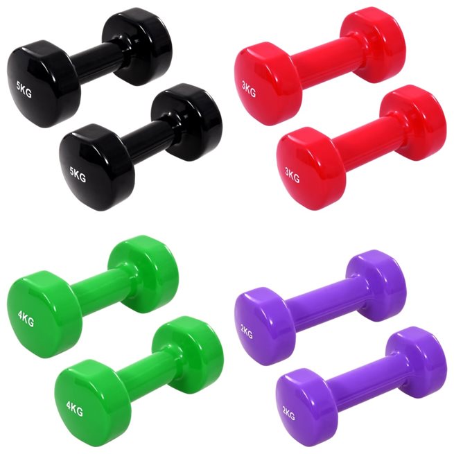 vidaXL Hantelset 8 st 28 kg gjutjärn lila/röd/grön/svart