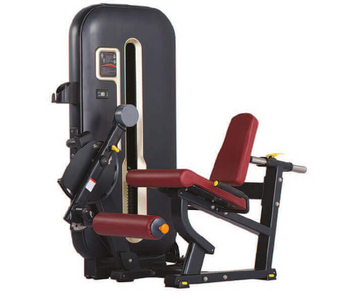 SF ? Leg Extension