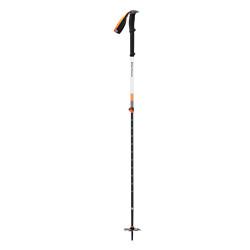 Black Diamond Expedition 2 Ski Poles