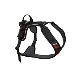 Non-Stop Dogwear Rock Harness