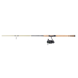 Abu Garcia Phazer Pro III Combo 9' M
