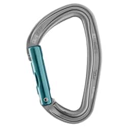 Petzl Djinn Carabiner Straight Gate