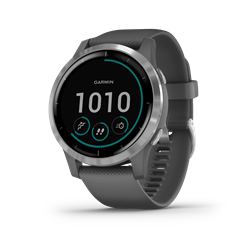Garmin Vivoactive 4, Gps, Wi-Fi, Shadow Gray/Silver