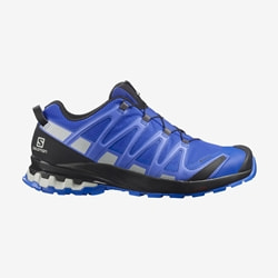 Salomon Xa Pro 3D V8 Gore Tex Turkish Sea