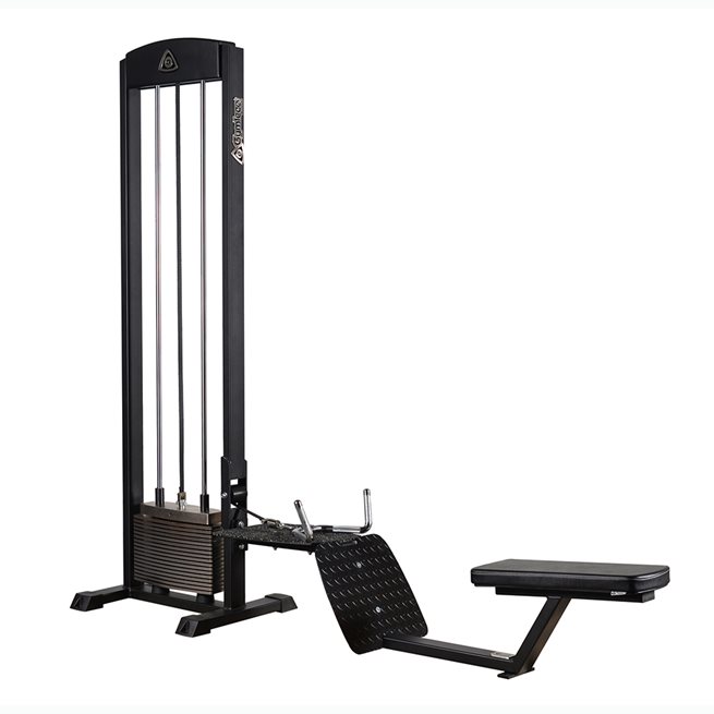 Gymleco Roddhiss Sittande -100 kg, Styrkemaskin Rygg