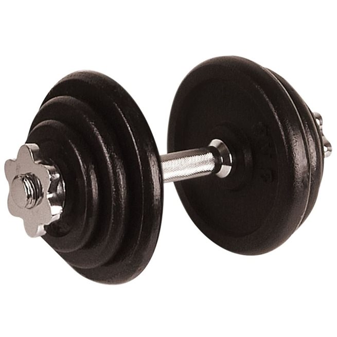vidaXL Hantel 10 kg svart