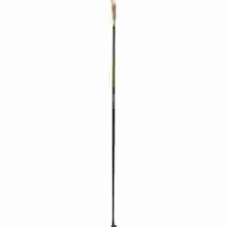 Swix Quantum 2 Skidstav
