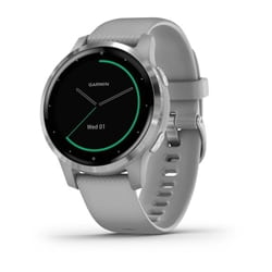 Garmin Vivoactive 4S, Gps, Wi-Fi, Powder Gray/Silver