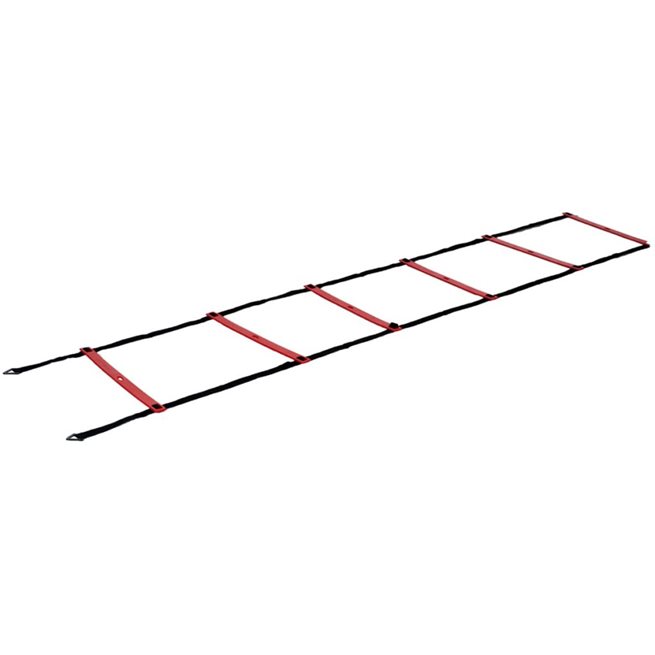 vidaXL Agilitystege Pro 450 cm
