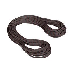 Mammut 9.8 Crag Classic Rope 70M