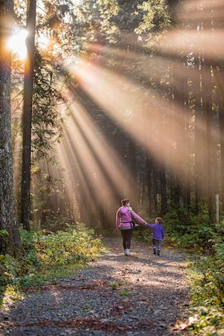 Kvinna och barn promenerar i skogen