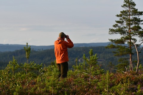 Man med kikare i naturen