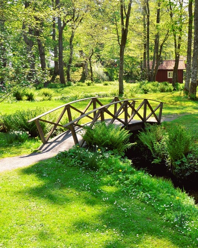 Bro och stuga i skogen